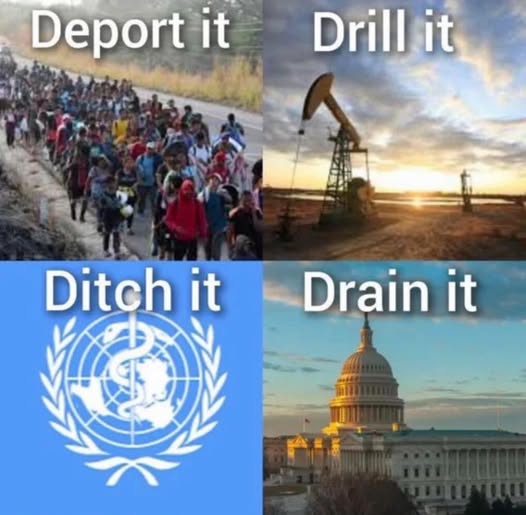 582049982_2572076462.jpg